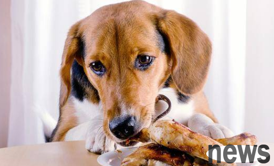 Is it good for the body to consume a lot of protein?