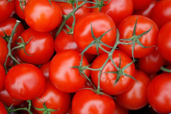 Zhongyuan Pudu selected seasonal fruits. Experts recommend not to use tomatoes and bali